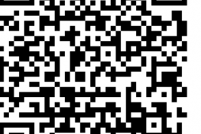 Dieser QR-Code dient zur Anmeldung im Portal Little Bird.